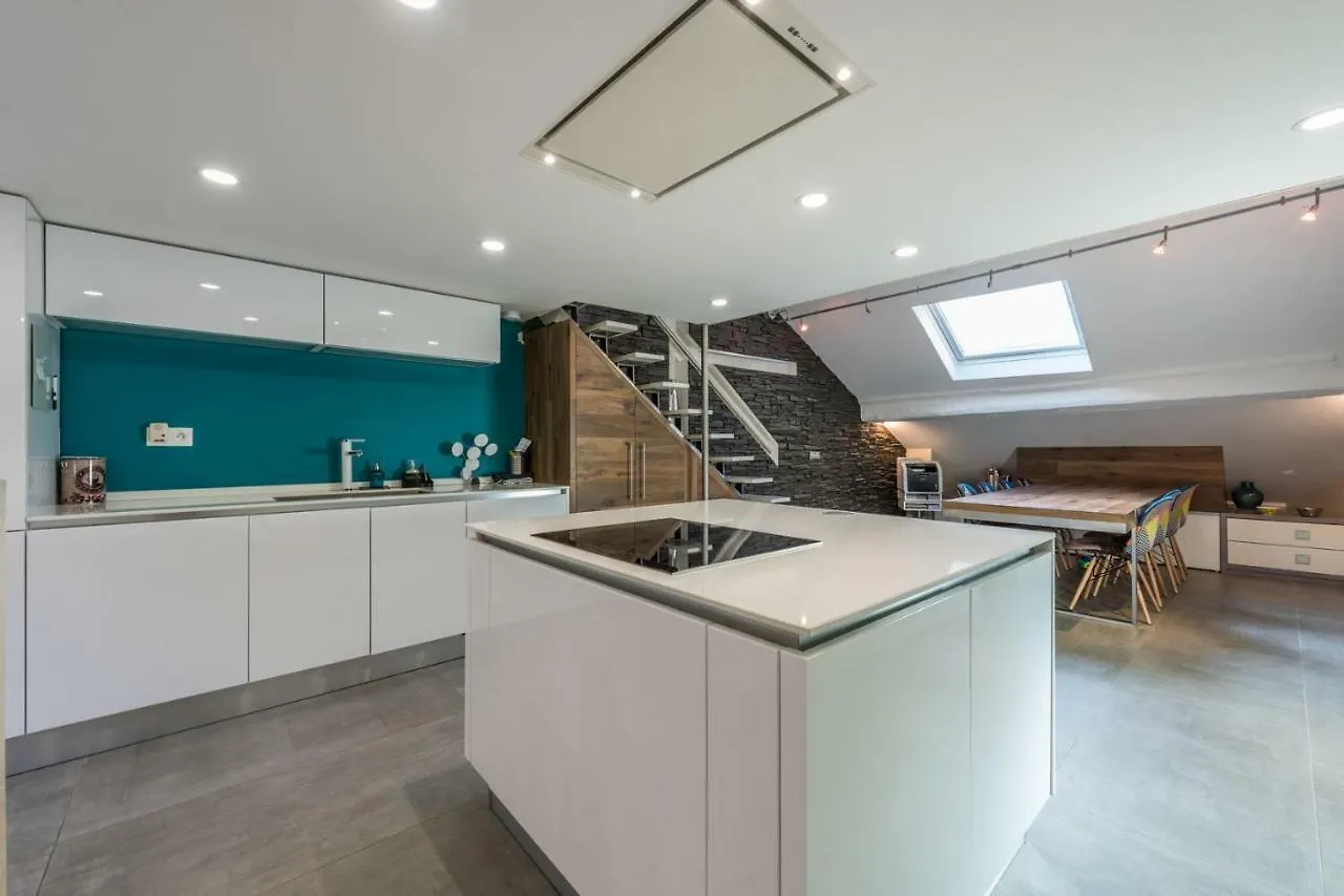 Le Cocon De Notre Dame Appartement Annecy Frankrijk