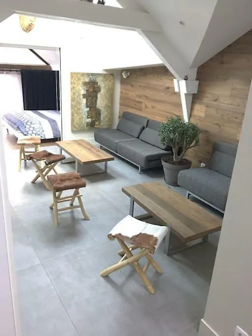 Le Cocon De Notre Dame Appartement Annecy