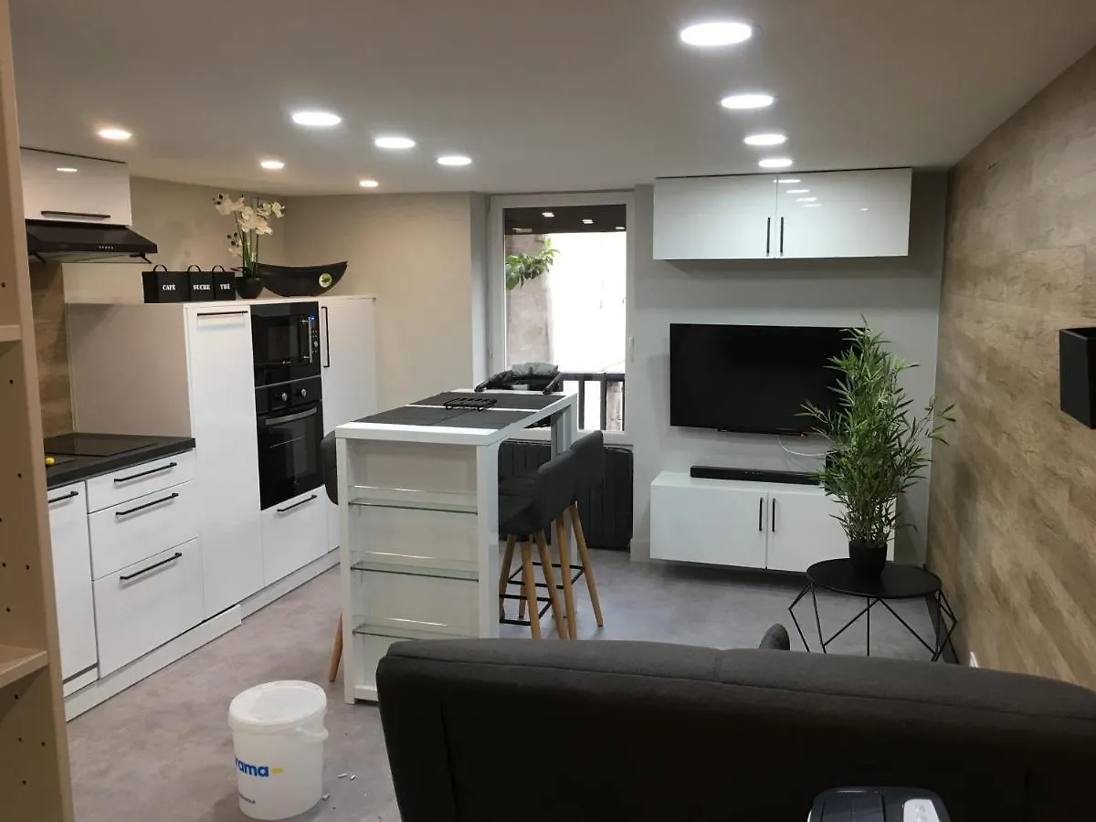 Le Cocon De Notre Dame Appartement Annecy