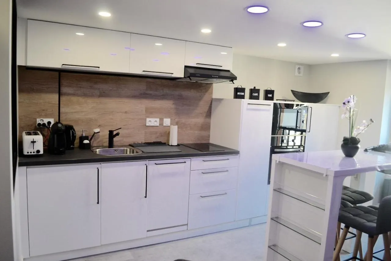 Le Cocon De Notre Dame Appartement Annecy Frankrijk