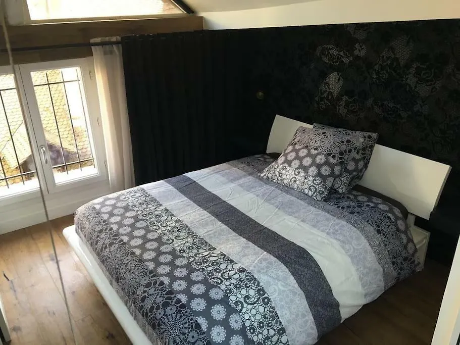 Le Cocon De Notre Dame Apartment Annecy 0*,