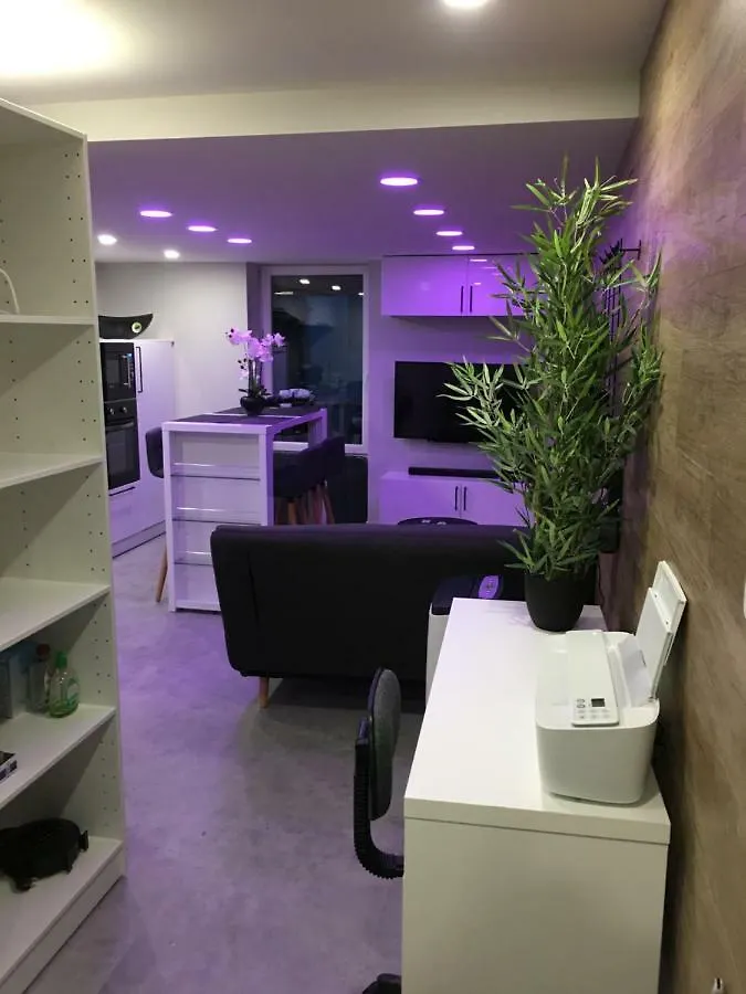 Le Cocon De Notre Dame Apartment Annecy