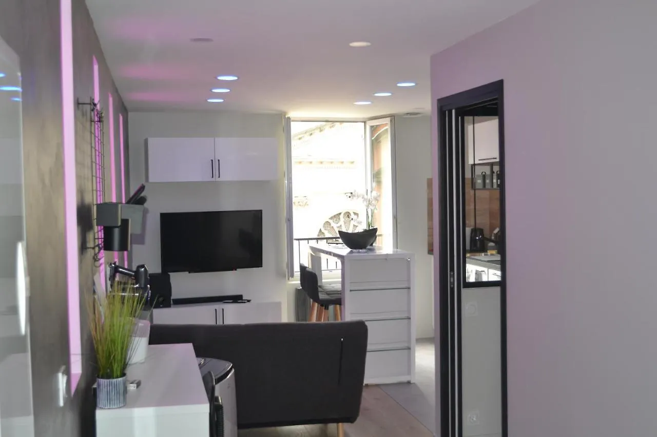 Le Cocon De Notre Dame Apartment Annecy 0*,